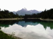 Urisee Urisee